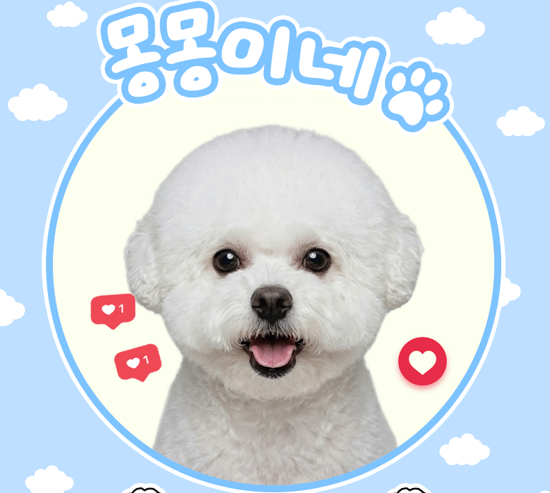 몽몽이네 매니저 모집 p:14+@