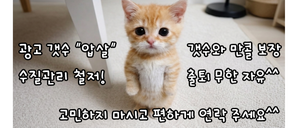 🧡제발도와주세요^