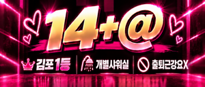 최대 14+@/주야간모집/면접당일근무/출퇴근자유/상주가능/개인대기실